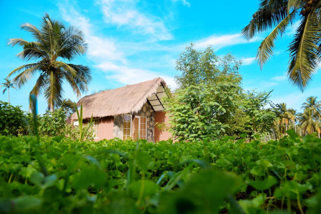 Coco Village Hotel Chilaw Eksteriør bilde